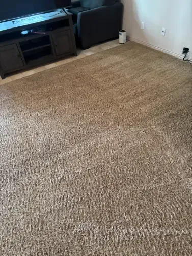 Arvada Berber Wool Carpet Cleaning