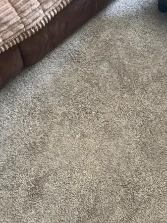Arvada Berber Loop Pile Carpet Cleaning