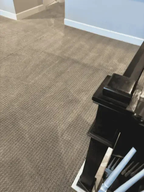 Littleton Berber Road Chemical Carpet Cleaning