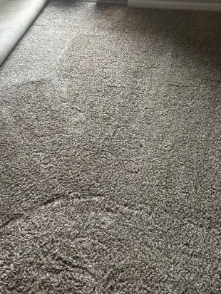 Franktown Berber Wool Carpet Cleaning