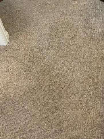 Franktown Berber Loop Pile Carpet Cleaning