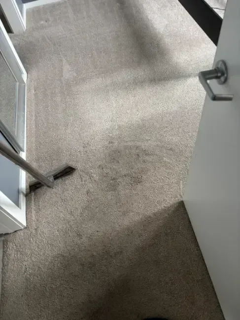 Franktown Berber Red Clay Carpet Cleaning