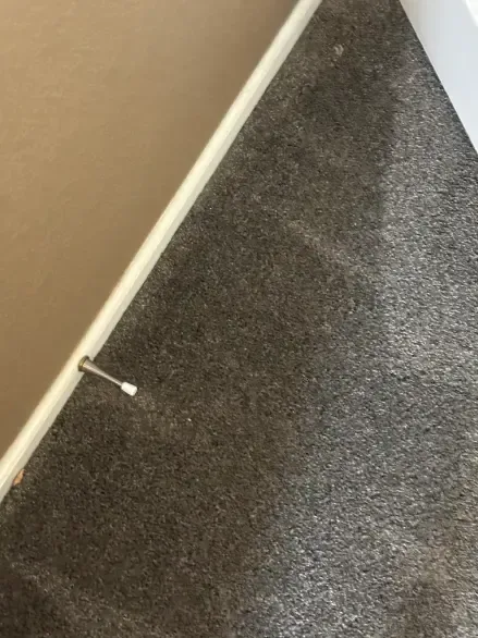 Sedalia Berber Wool Carpet Cleaning 