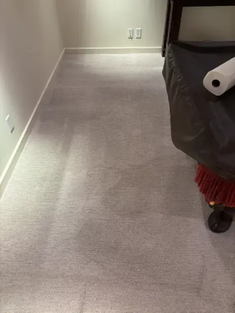 Sedalia Berber Loop Pile Carpet Cleaning 