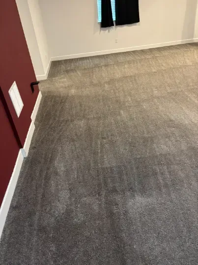 Sedalia Berber Road Chemical Carpet Cleaning