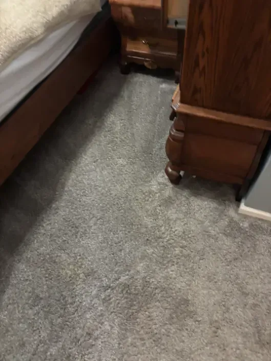 Lakewood Berber Loop Pile Carpet Cleaning