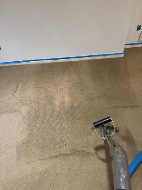 Lakewood Berber Carpet Cleaning Cost