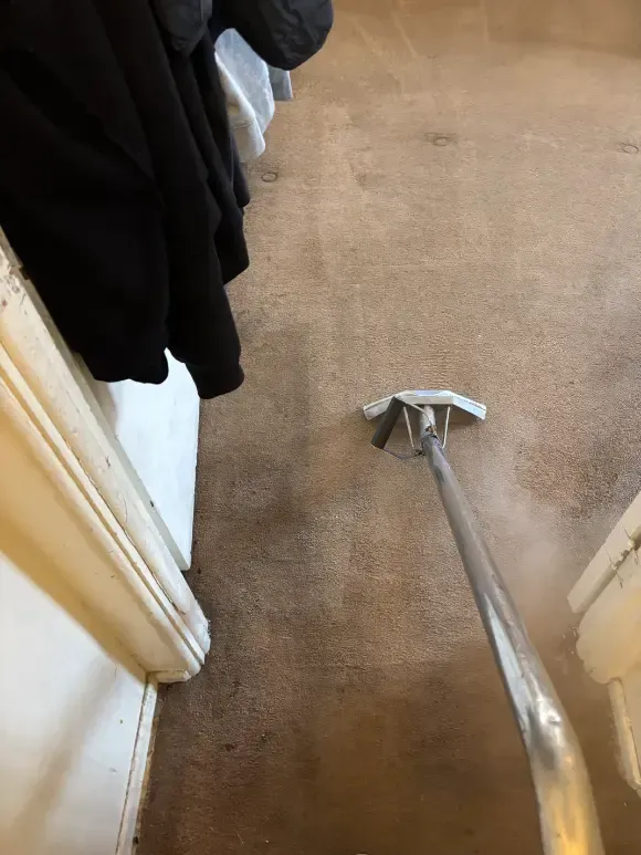 Lakewood Berber Wicking Spots Carpet Cleaning
