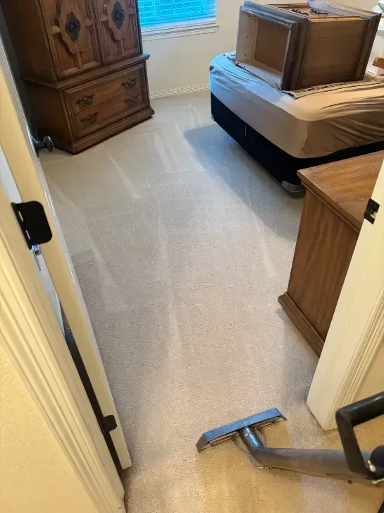 Lakewood Berber Carpet Cleaning