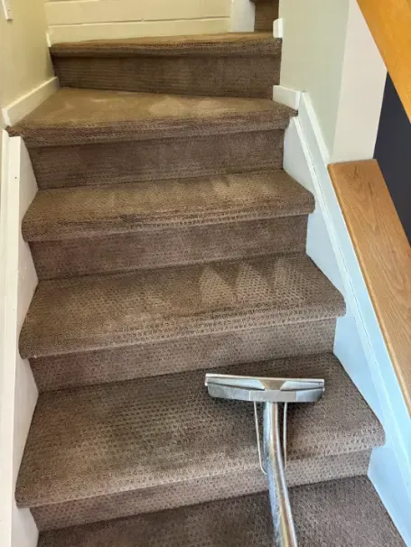 Castle Pines Color Bleed rug cleaning