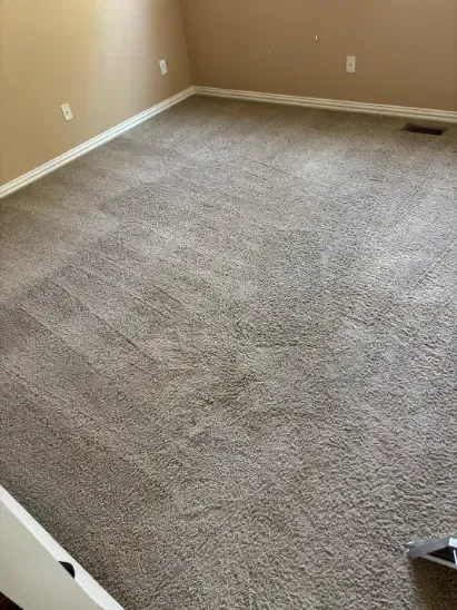 Castle Pines Wool rug cleaning