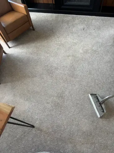 Pet stain before extraction on carpet in a Centennial, CO move-out job
