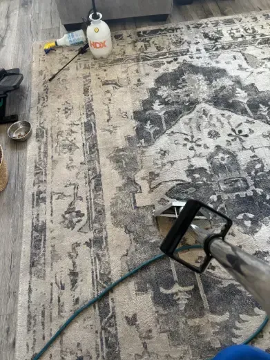 Sedalia rug cleaning Pricing