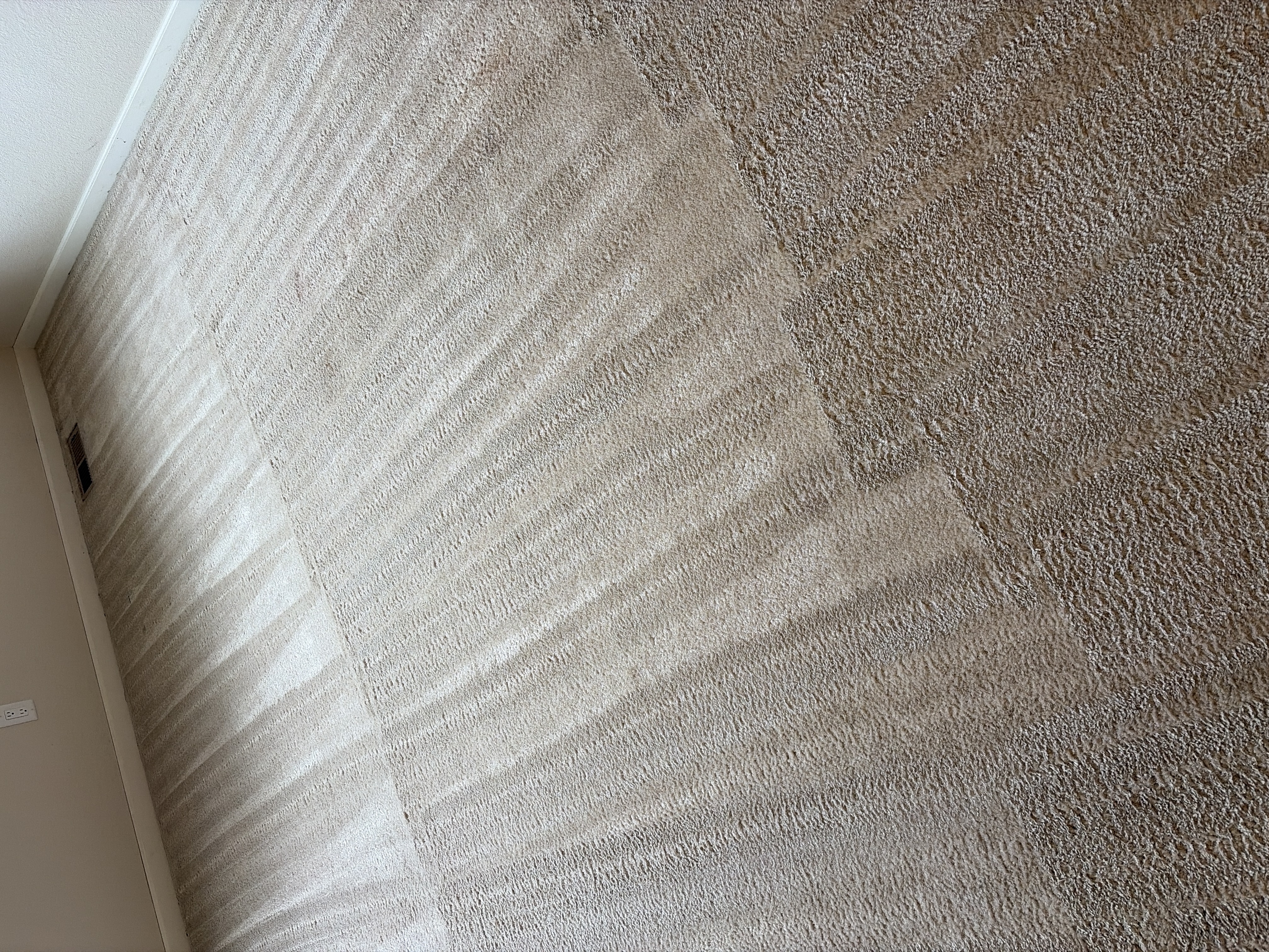 Dog urine smell removed from rental carpet in Centennial CO by Colorado Choice Carpet Cleaning