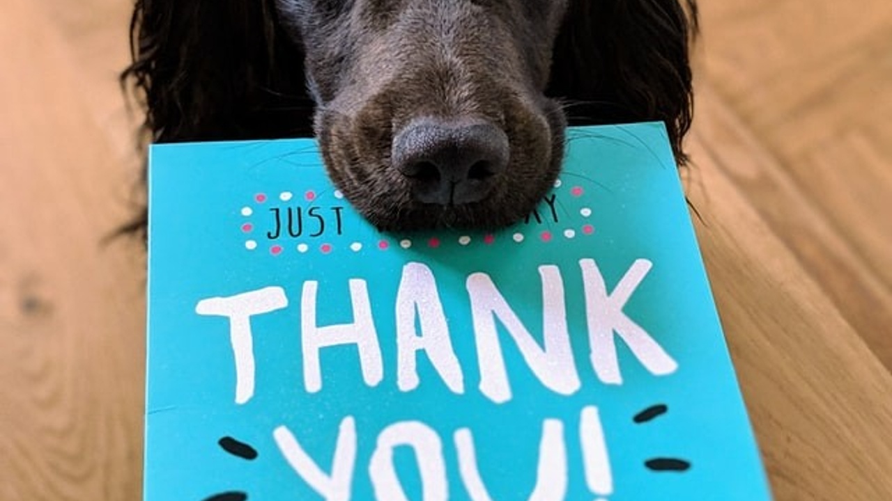 Simple employee recognition ideas to improve morale and engagement