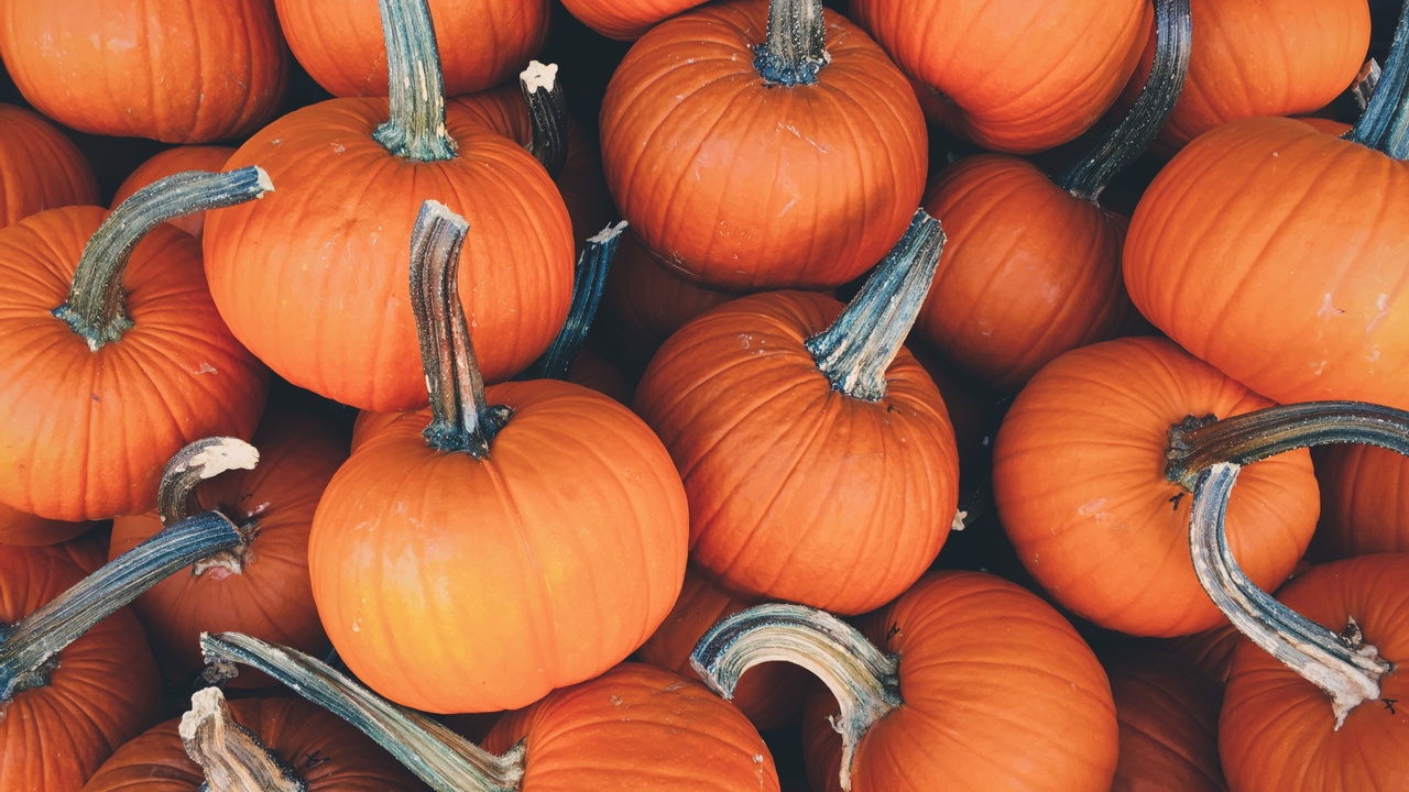 Employees celebrating Halloween at work while following workplace policies