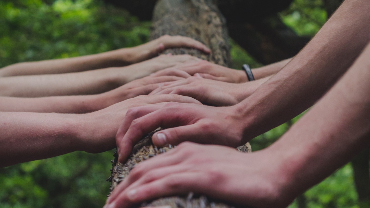 Workplace diversity and inclusion practices supporting a respectful team environment