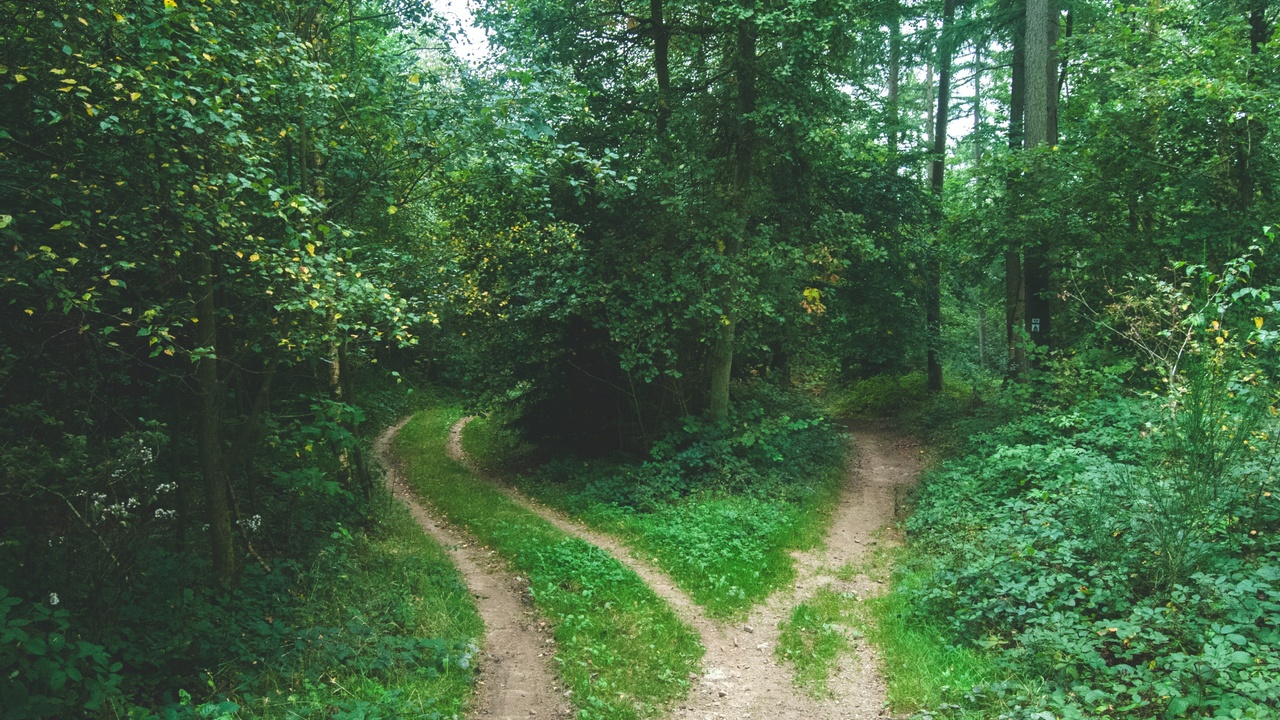 HR guidance on deciding between layoffs and furloughs during COVID disruptions