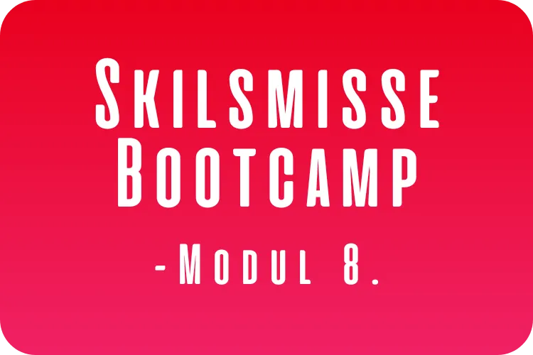 Skilsmisse Bootcamp Modul 8