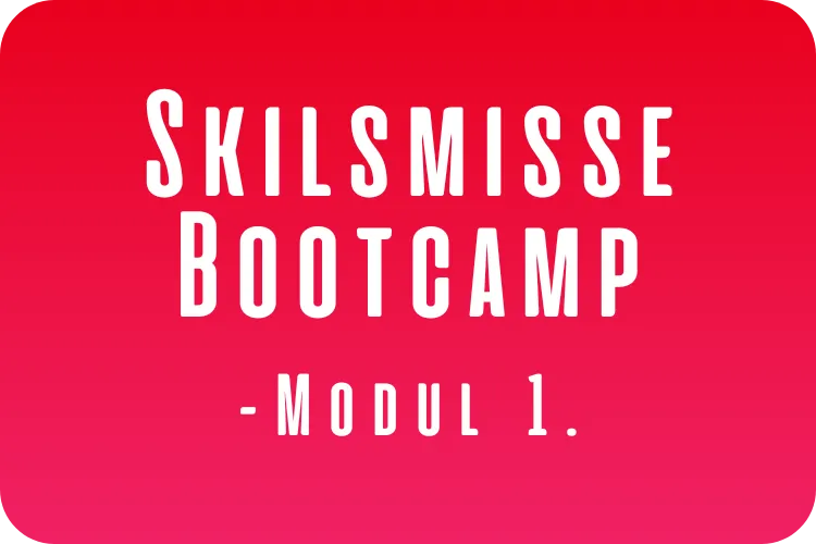 Skilsmisse Bootcamp Modul 1