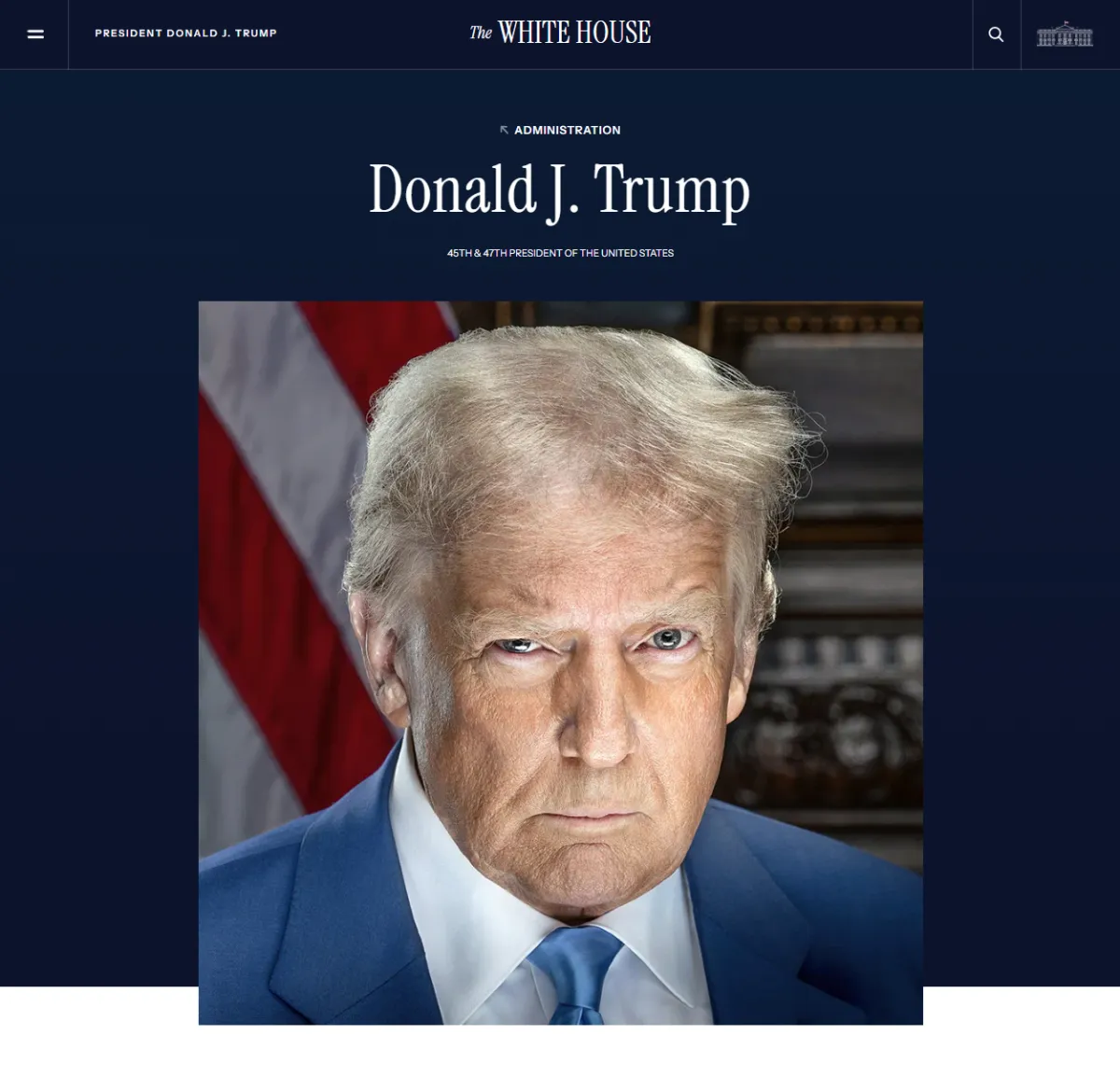 Website Preview