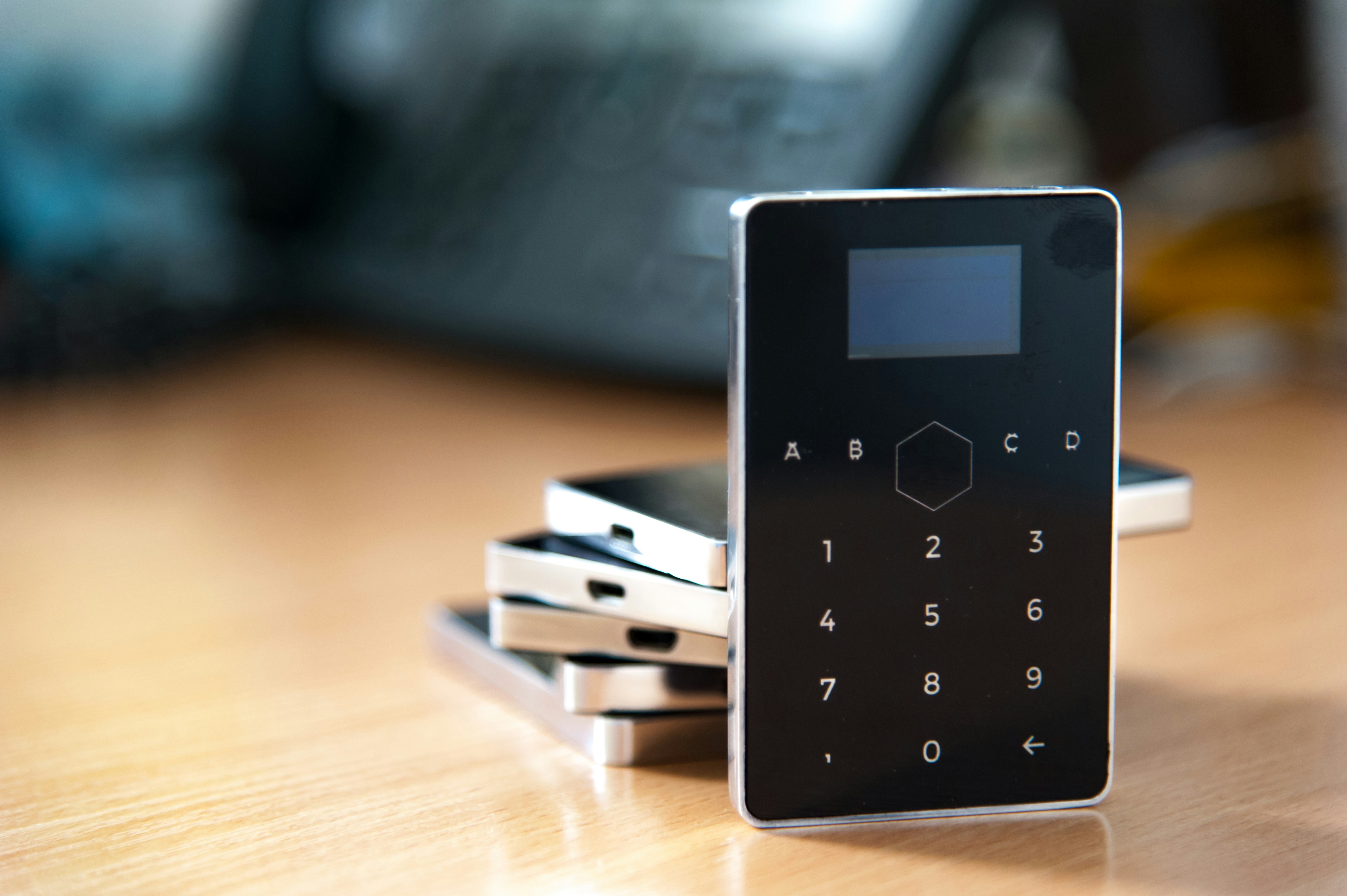  Domestic Security Systems