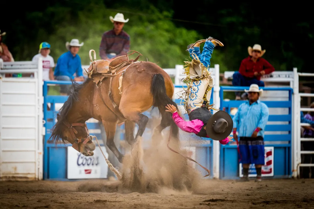 Cowboy falling off horse during rodeo