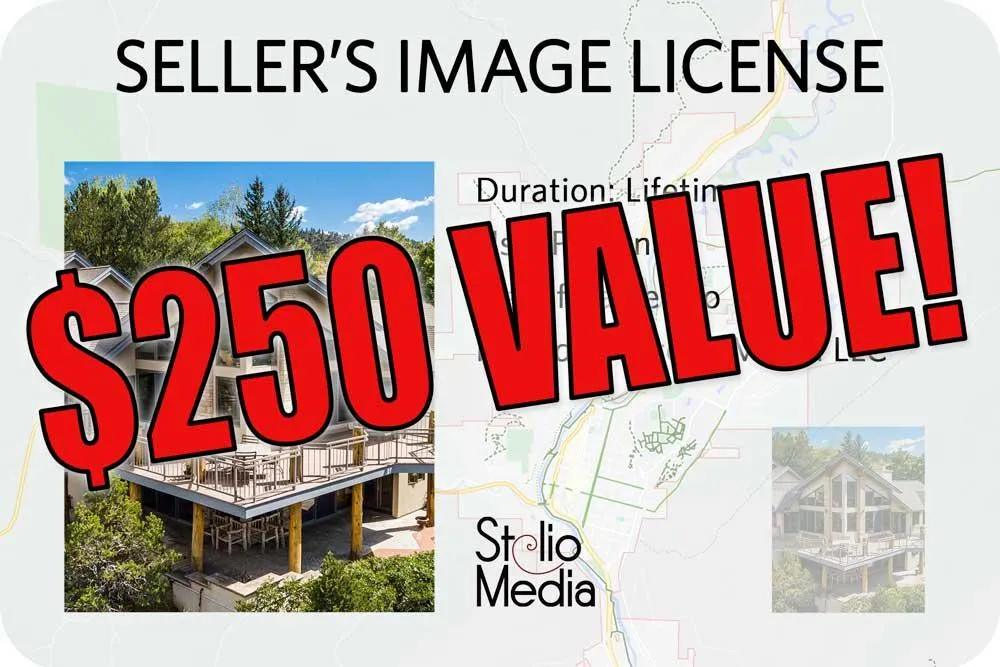 $250 value graphic for seller's image license