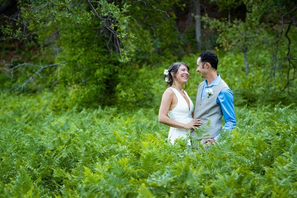Bride and groom in a field of ferns