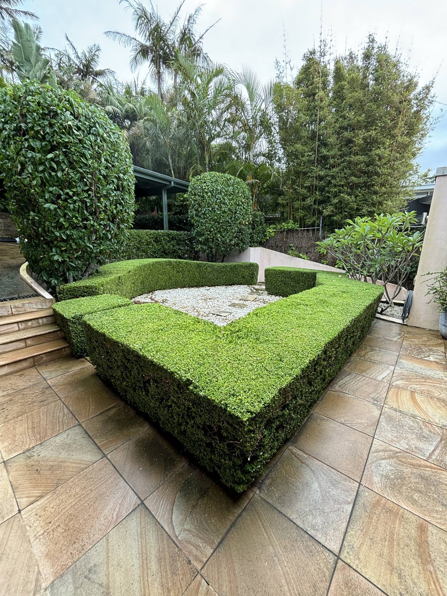 Avalon Beach Hedge Trimming & Topiary