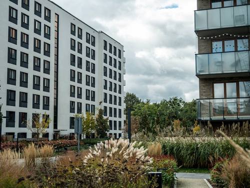 Palm Beach Strata Garden Maintenance