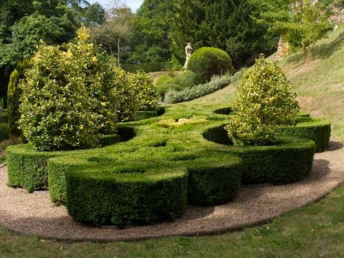Northern Beaches Hedge Trimming & Topiary