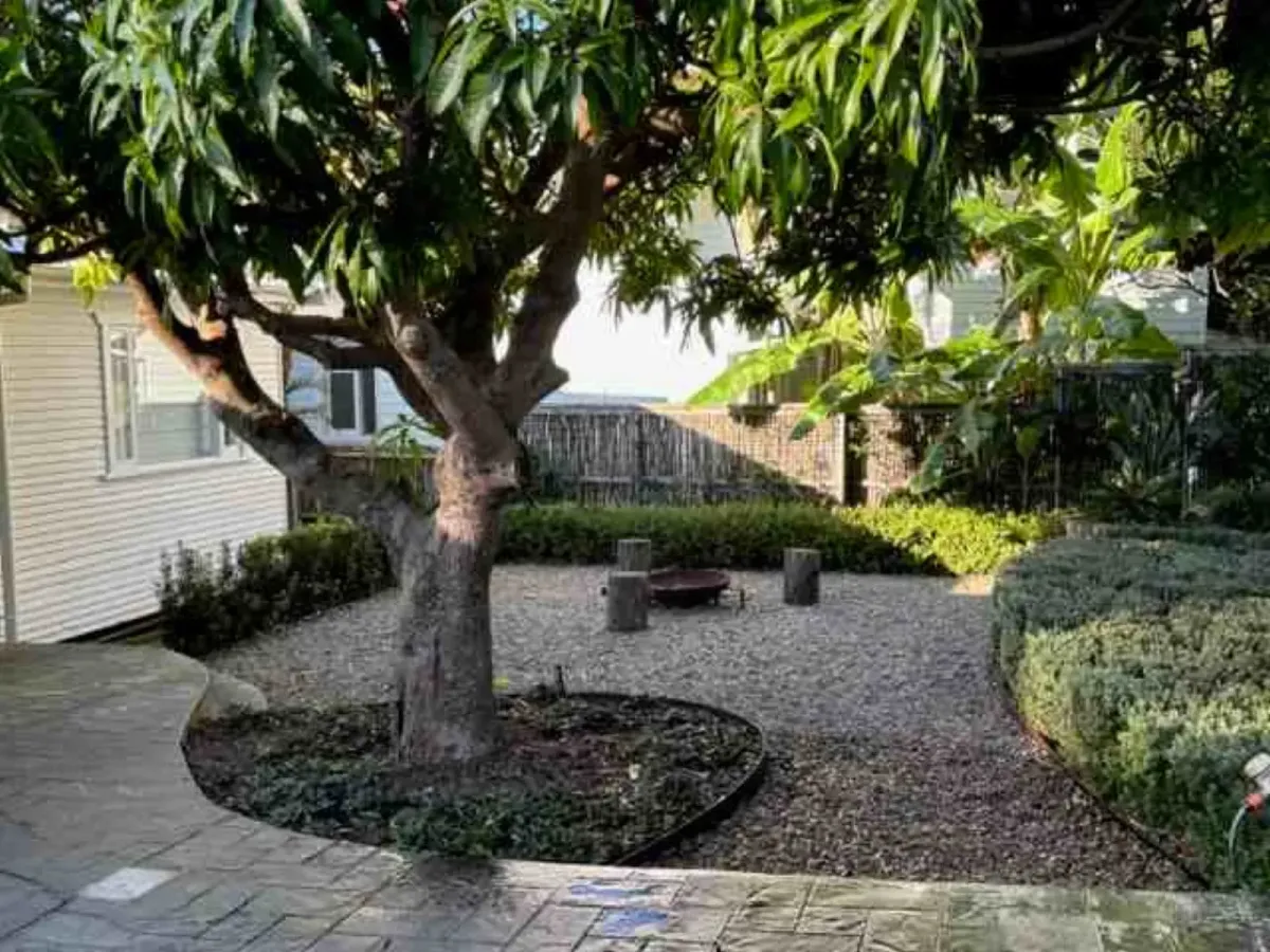Hedge Trimming & Topiary Northern Beaches