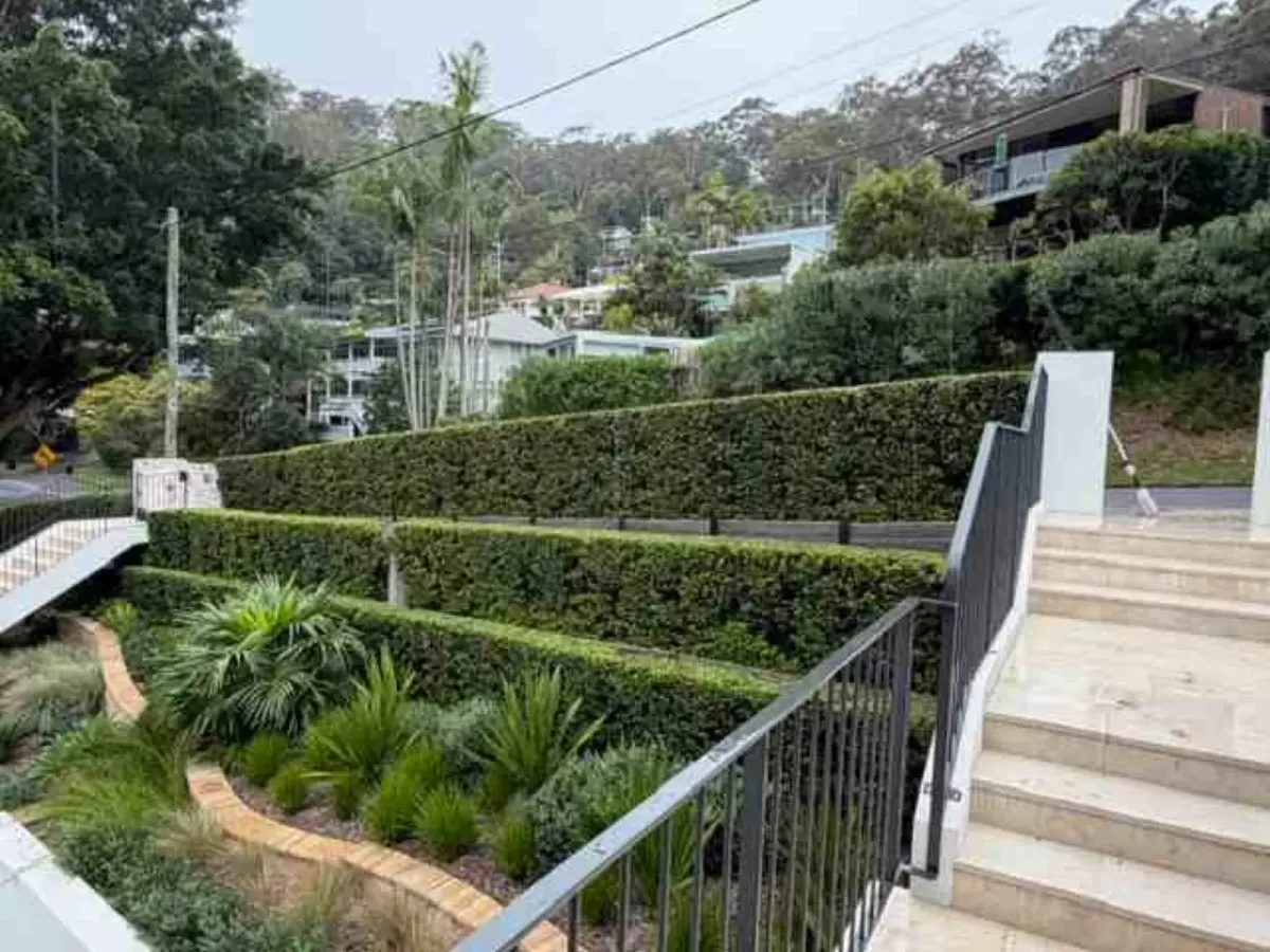 Garden Design & Consultation Northern Beaches