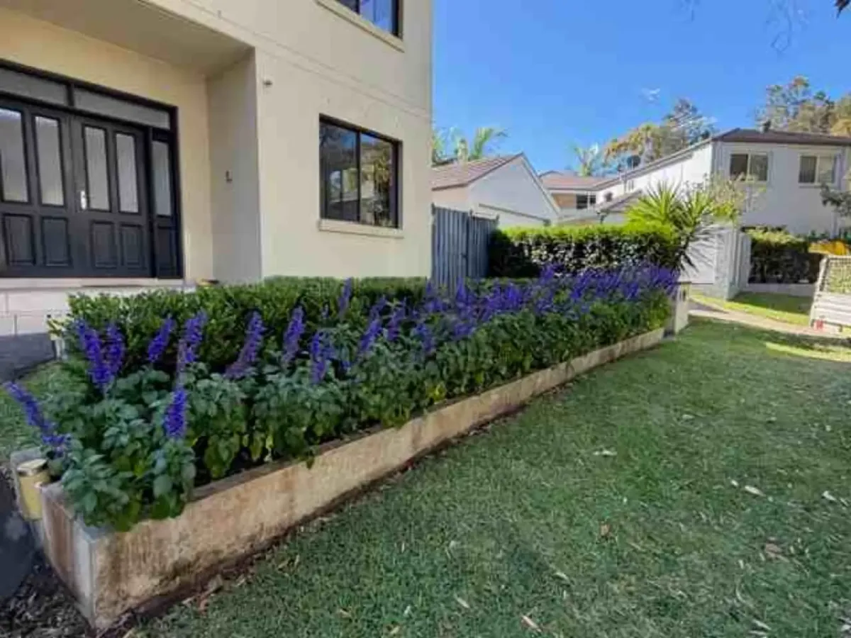 Turf Installation & Lawn Renovation Northern Beaches