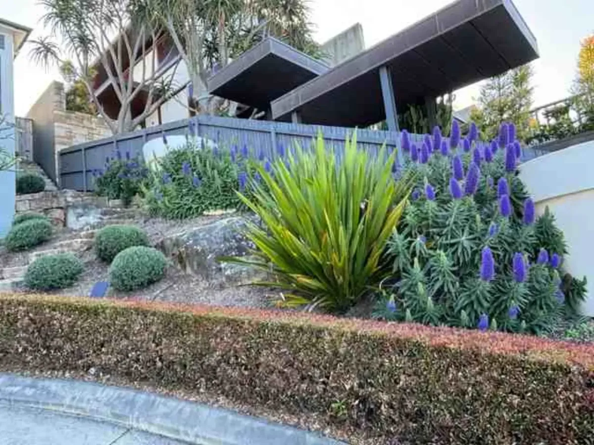 Strata Garden Maintenance Northern Beaches