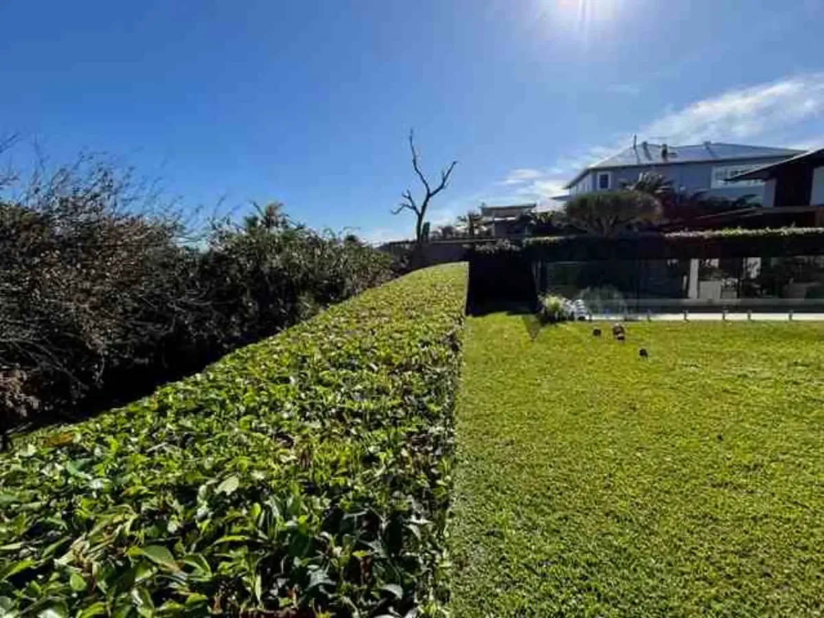 Pruning & Tree Trimming Northern Beaches