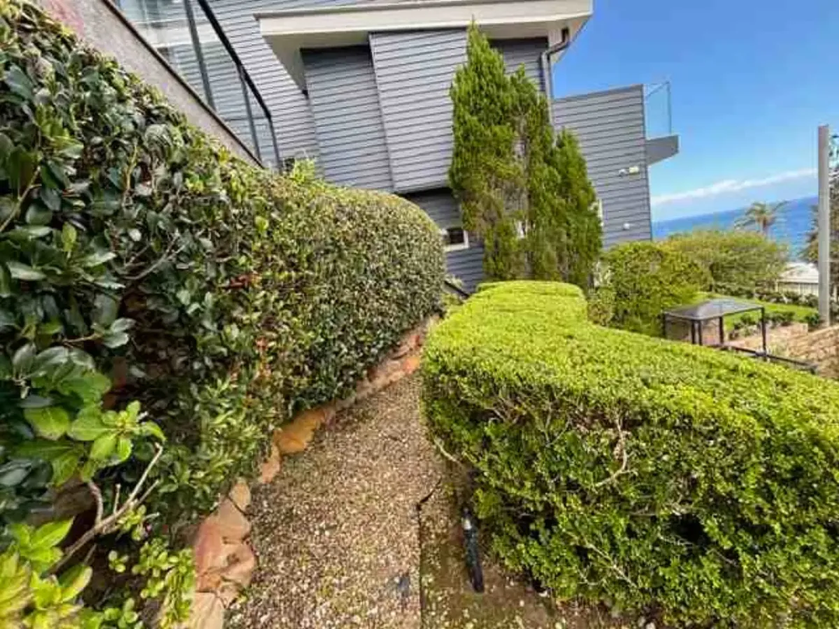 Planting & Replanting Northern Beaches