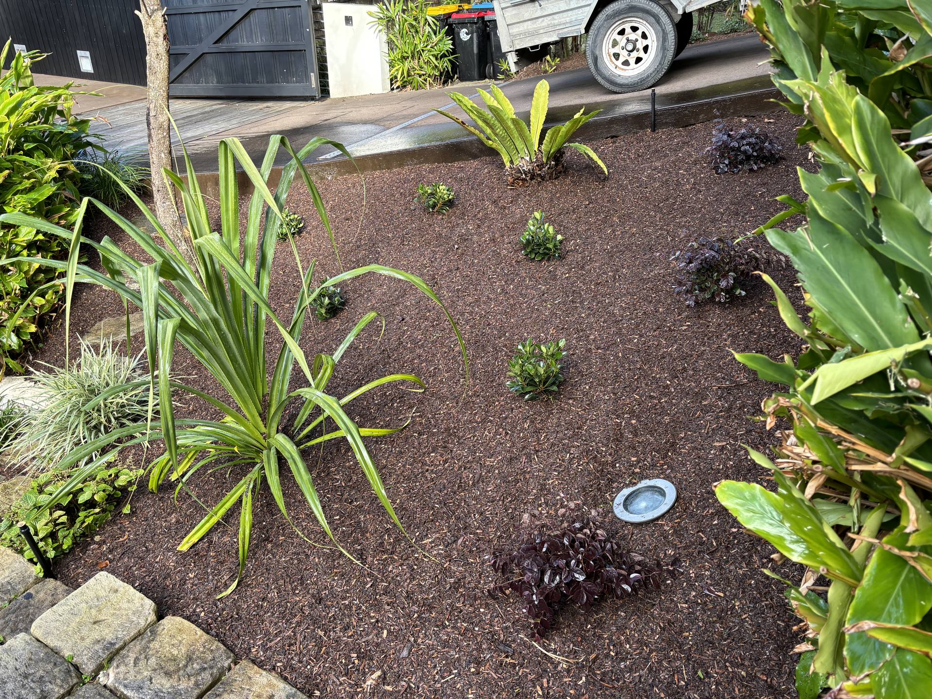 Garden Bed Maintenance in Northern Beaches