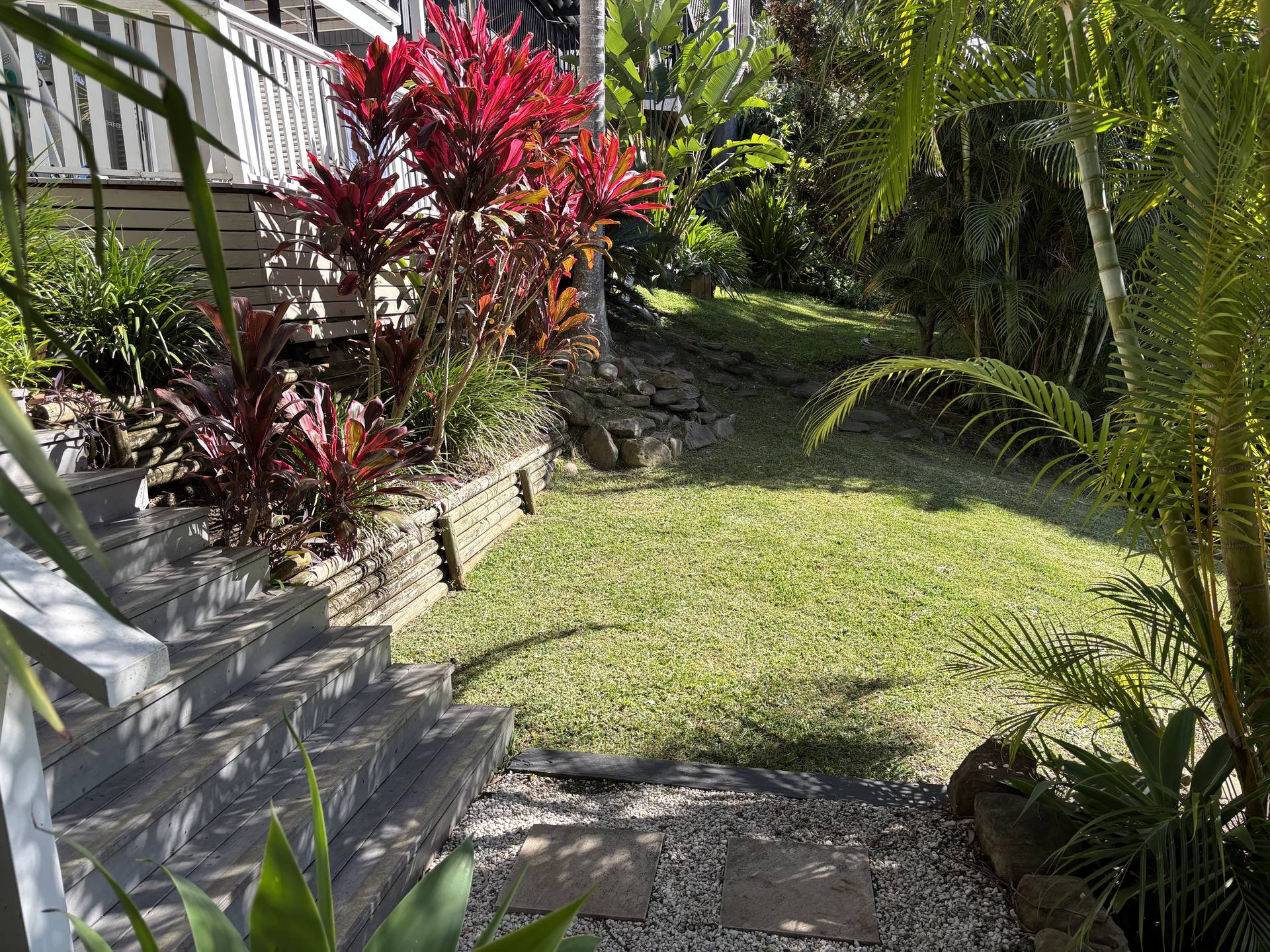 Pruning & Tree Trimming in Northern Beaches