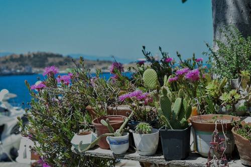 Northern Beaches Lawn Mowing & Edging