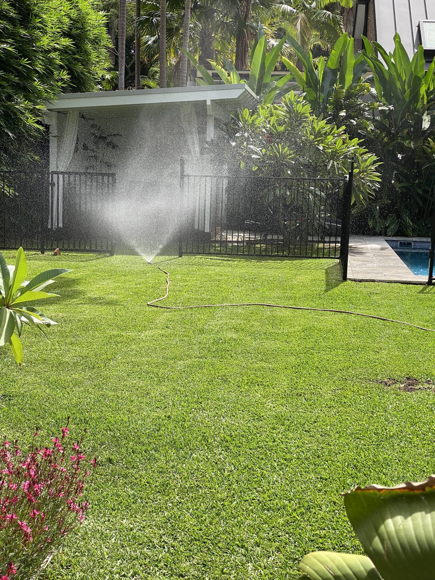Palm Beach Turf Installation & Lawn Renovation