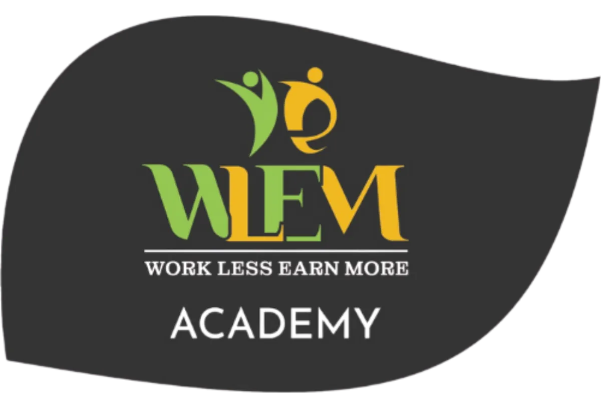 WLEM Academy Logo