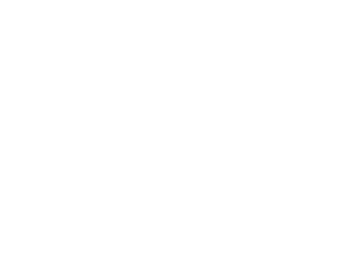 Radio Boise Logo