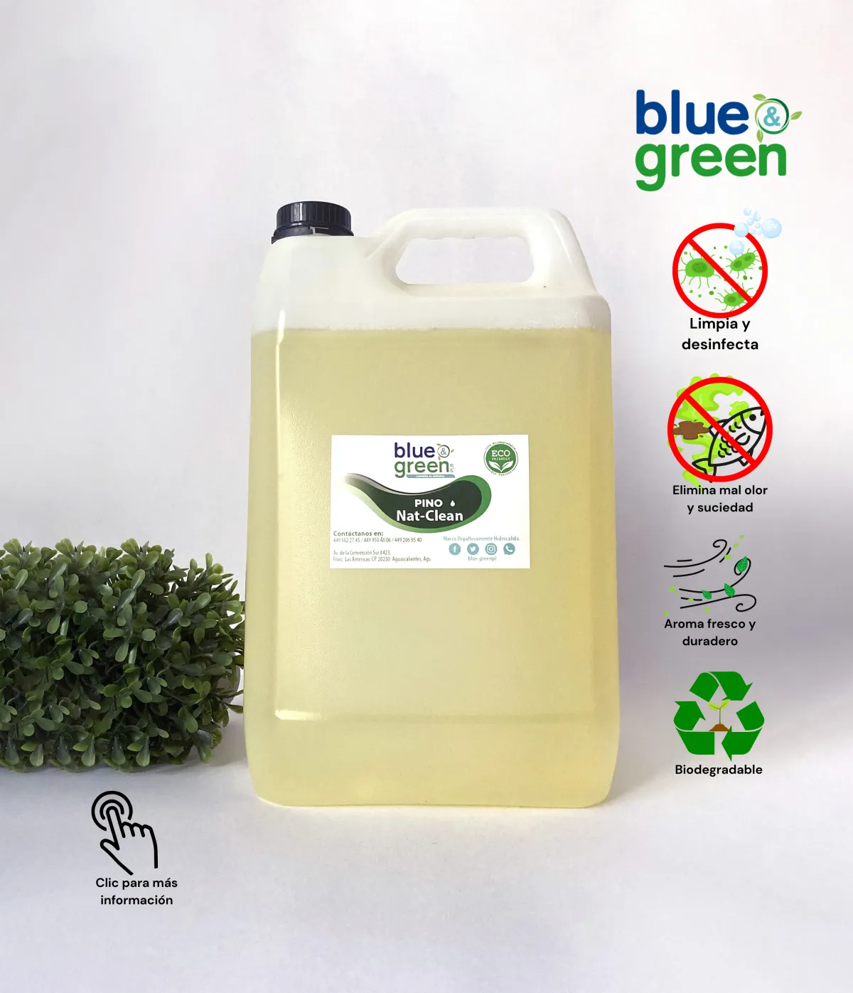 Desinfectante pino 5 lt mayoreo