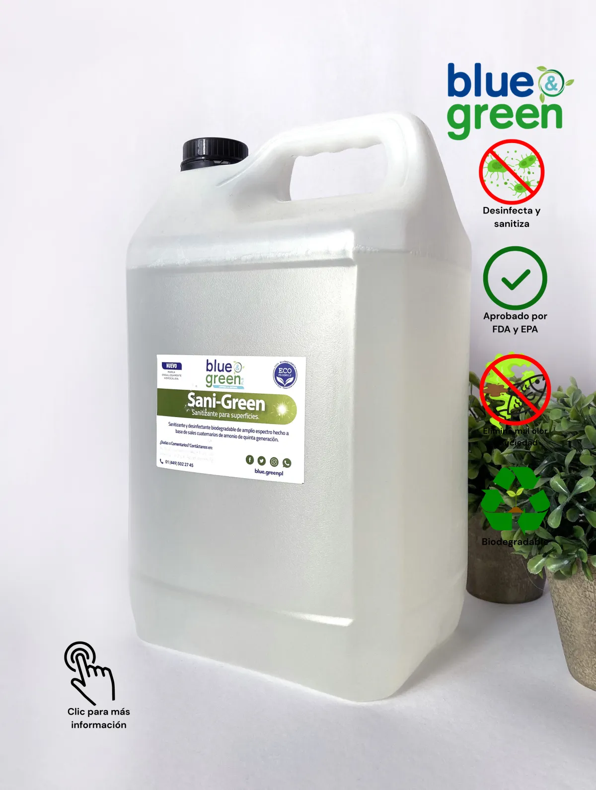 Desinfectante sanigreen 5 lt mayoreo