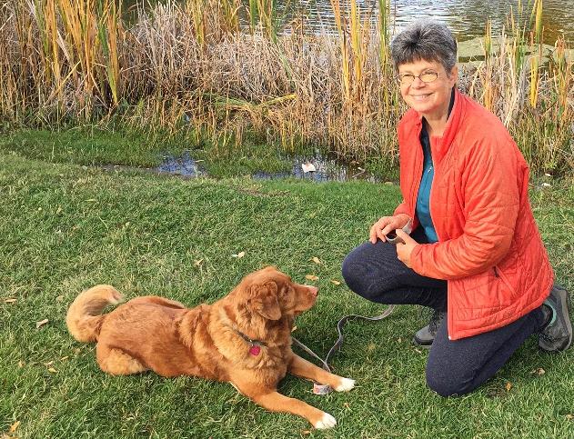 Person kneeling on the grass with a Nova Scotia Duck Tolling Retriever laying down in front of the person
