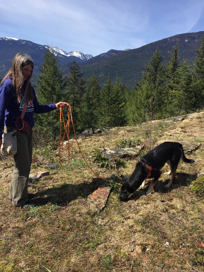 Grow your dog’s off-leash freedom using a long line - Part 1