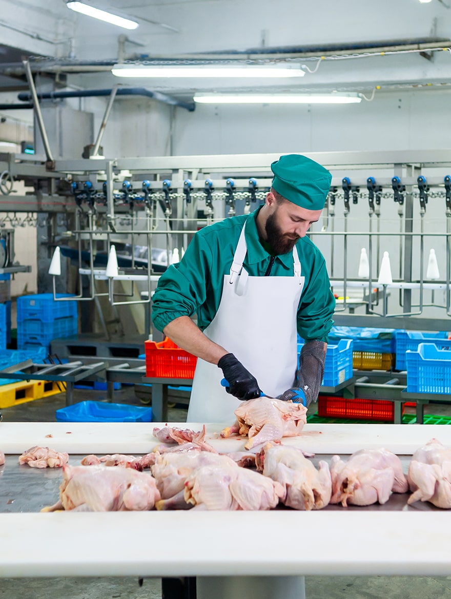 Halal Foods Made in Trusted Hygienic Processing Facility