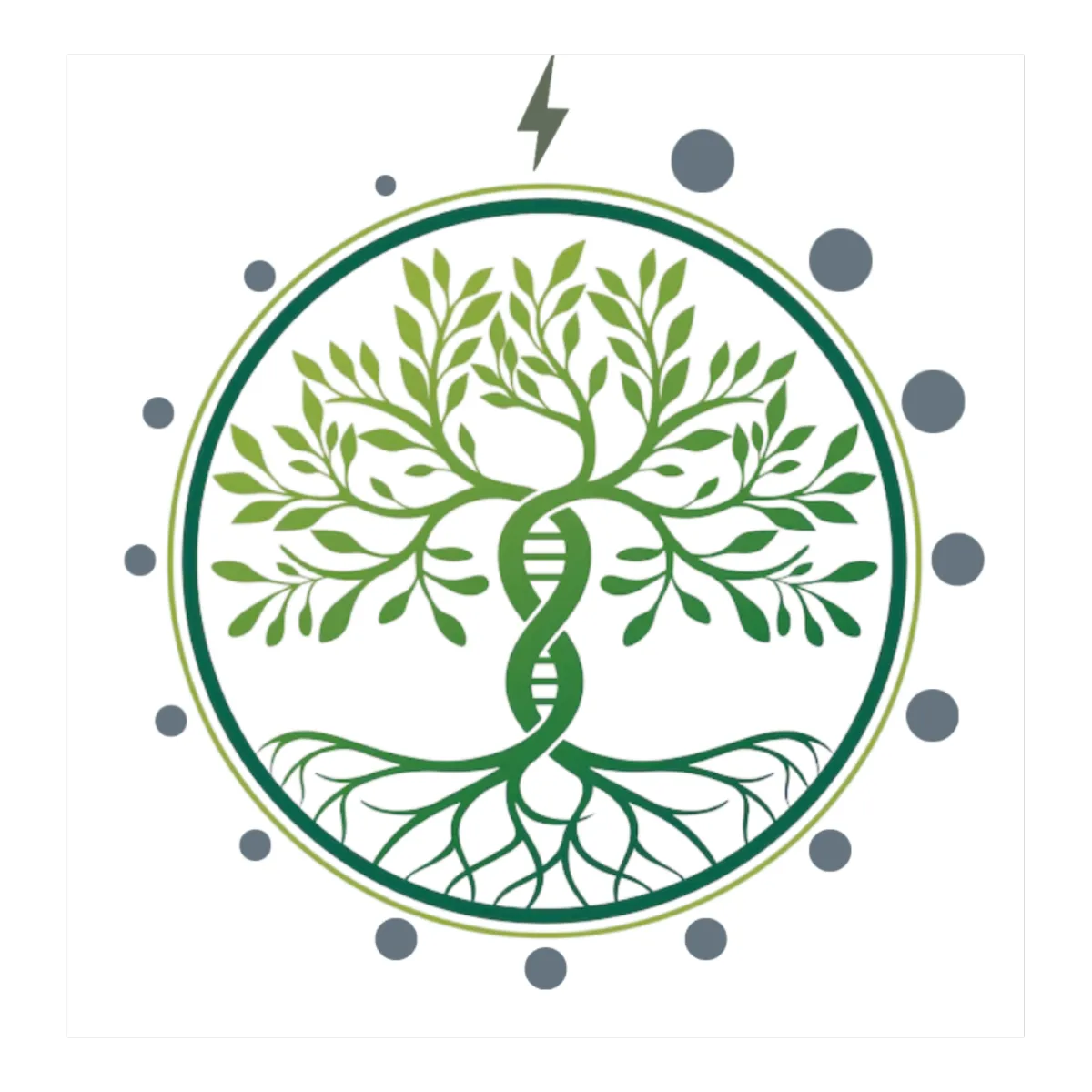 The Natural Healing Spa | 